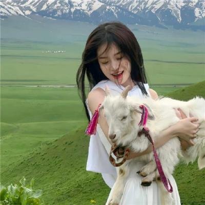 猛虎嗅蔷薇之盗亦有道